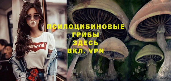 mdpv Верхнеуральск