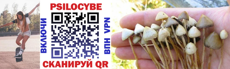 Купить  Покровск  Псилоцибиновые грибы Cubensis 